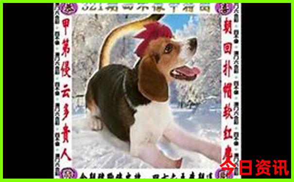 柳州市内一日游最佳景点
