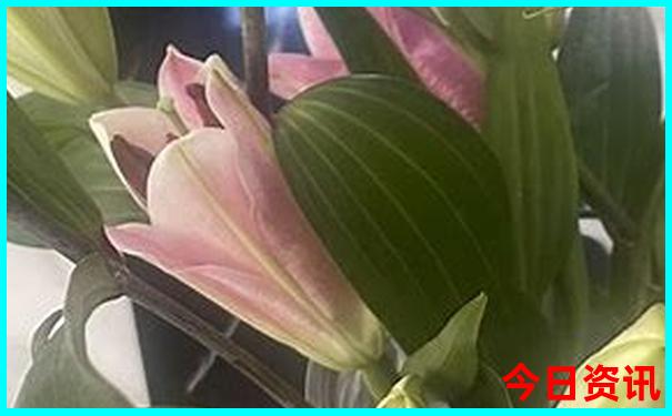 澳门467234com